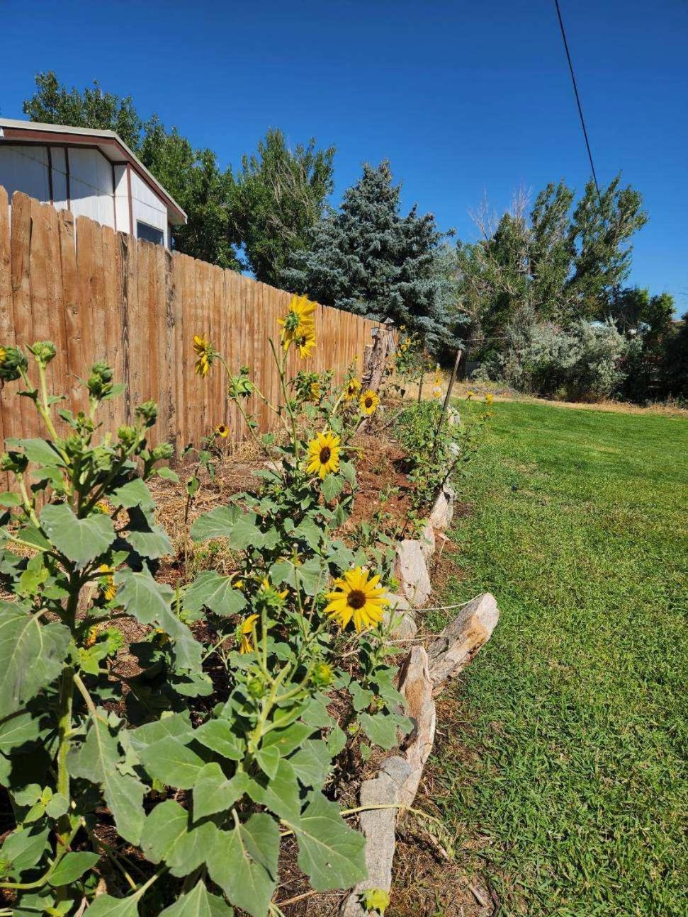 Let'S Go ! Fisherman, Families, Pools One Minute From Your Door, Comfort, Location Perfect, Amenity-Rich, Pup Friendly, Discover An Exceptional Wyoming Stay, Thermopolis River Walk Home At Hot Springs State Park, 'Where Families And Fisherman Stay' Екстериор снимка